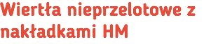 Wiertła nieprzelotowe z nakładkami HM